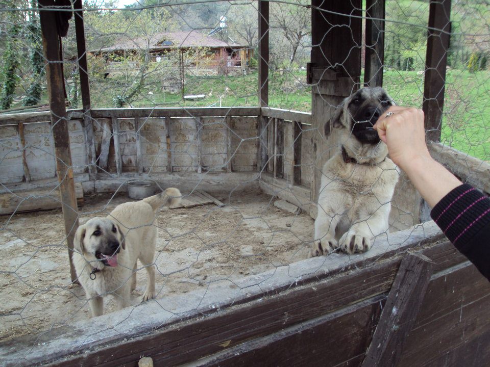 Wolftrack Ekibini Ziyaret Ettik-Ziyaret Fotoğrafları