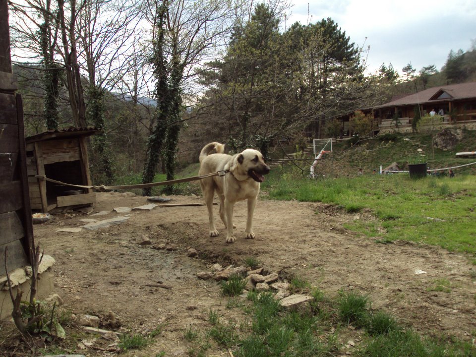 Wolftrack Ekibini Ziyaret Ettik-Ziyaret Fotoğrafları