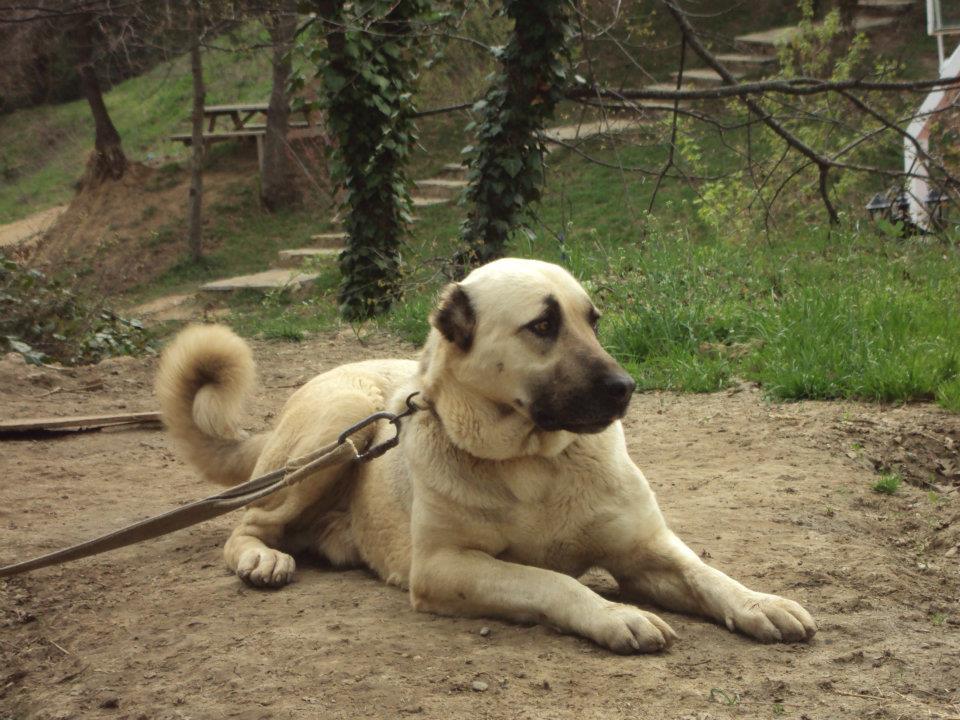 Wolftrack Ekibini Ziyaret Ettik-Ziyaret Fotoğrafları