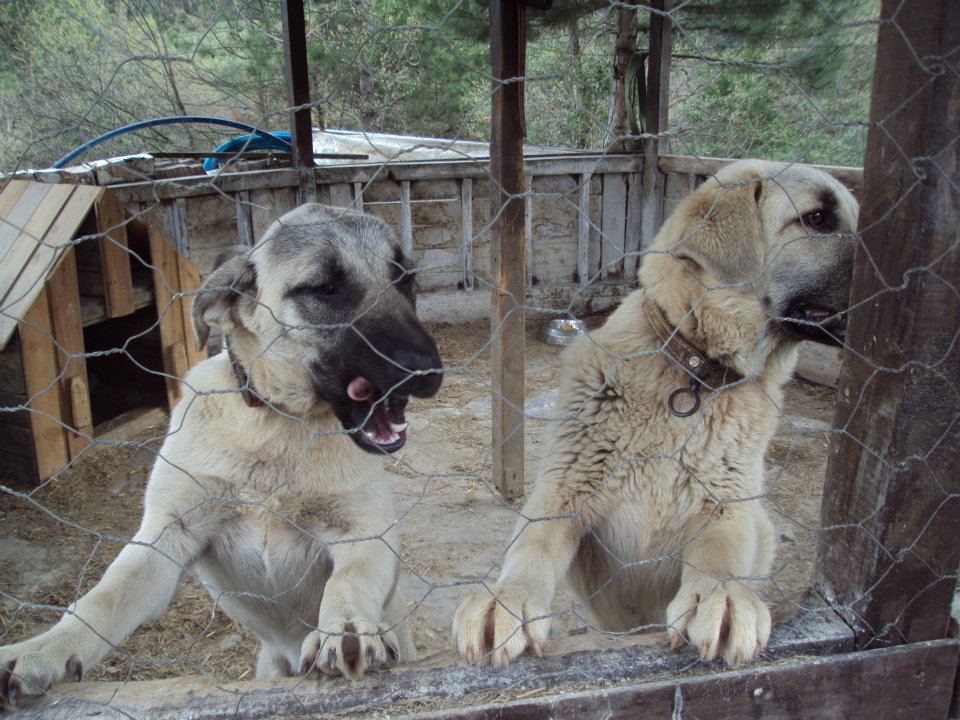 Wolftrack Ekibini Ziyaret Ettik-Ziyaret Fotoğrafları