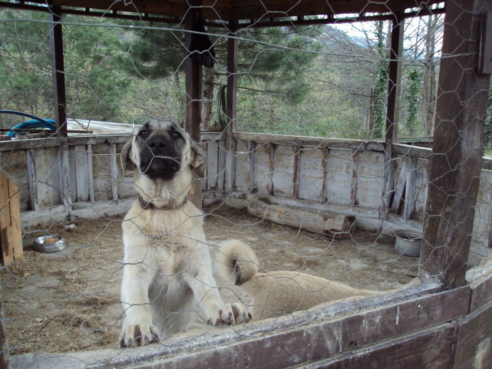 Wolftrack Ekibini Ziyaret Ettik-Ziyaret Fotoğrafları