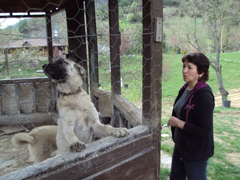 Wolftrack Ekibini Ziyaret Ettik-Ziyaret Fotoğrafları