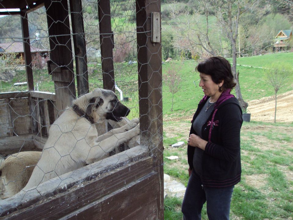 Wolftrack Ekibini Ziyaret Ettik-Ziyaret Fotoğrafları