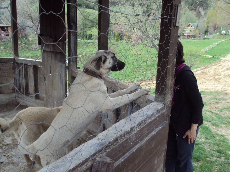 Wolftrack Ekibini Ziyaret Ettik-Ziyaret Fotoğrafları